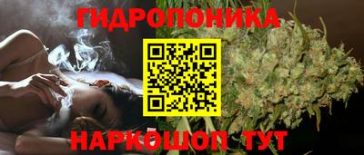 мяу мяу мука Ижевск